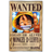 One Piece Wanted Poster